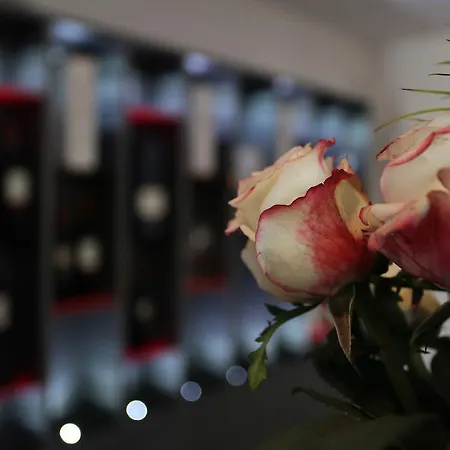 Al Vecchio Tram Hotel 3*